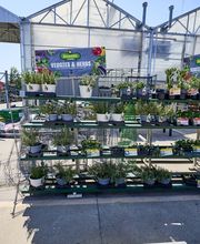 Garden Center Wide Shot