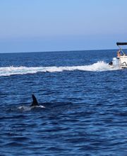 Location 2000 image 1