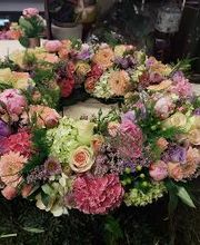 Blumen Dahlmann Bild 10