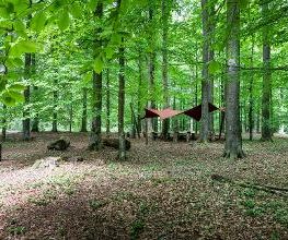 FriedWald Kisdorf Bild 6
