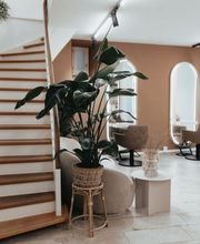 Fine Art Vanessa - Coiffeur Liestal