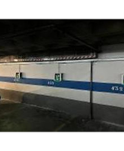 Wenea imagen 1