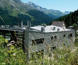 Meuli Sils Bild 5