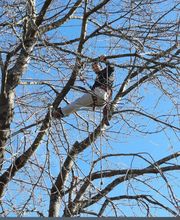 Eifel Cleaning Service Bild 10