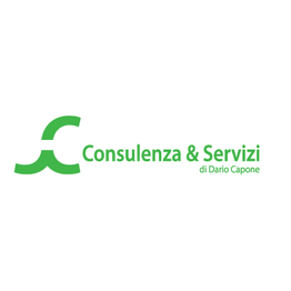 Consulenza e Servizi di Dario Capone logo