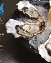 Chez Mô Albert 1er image 11