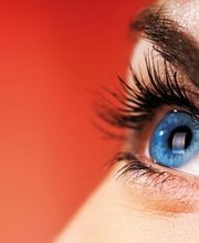 Carré Françoise Bild 1