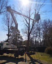 B.L.S - Bar Location Services SARL image 10