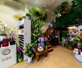 Gallery Professionale