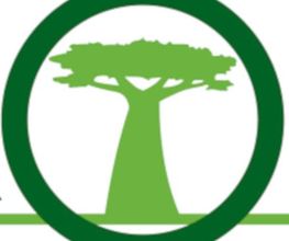 Baobab SARL image 1