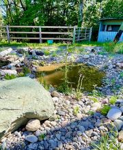 Wildblumendienst Bild 11