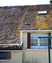 Momy Stéphane image 8