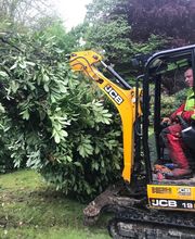 Randewig Garten- & Landschaftsbau Bild 8