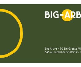 Big Arbre image 2