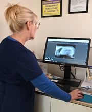 North Buffalo Animal Hospital image 7