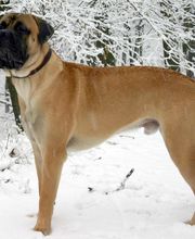 Clinica Veterinaria Exotia Santa Ursula imagen 20