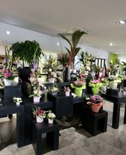 Fleurs Ô Naturel image 3