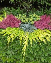 MM Gartenpflege GmbH Bild 9