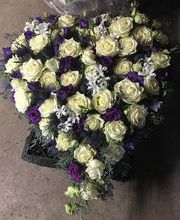 Morgenthaler Gärtnerei Bild 3