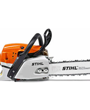 Stenger Manfred Bild 1