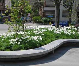 Hunziker Garten AG Bild 8
