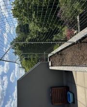 Stöckli Katzenschutz GmbH Bild 3