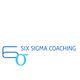 six sigma coaching