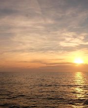 TAXI ALOJERA imagen 5