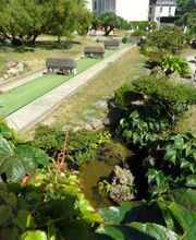 Golf Miniature SARL image 15