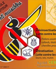 Sebastien Anti Nuisibles image 3