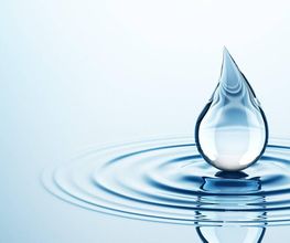 S Eau S image 3