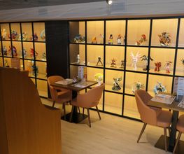 Gallery Cliente