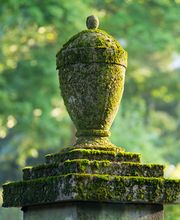 Oberüber Bestattungen Bild 6