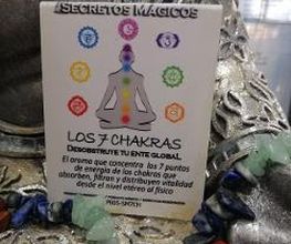 La Papissa imagen 7