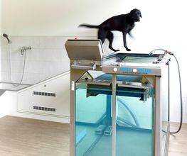 Marigin Tierklinik - 24 Std. Notfalldienst - Zentrum für Tiermedizin Bild 12