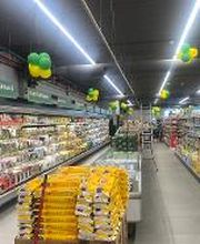 Todis - Supermercato (Lavinio - Via Goldoni 20) immagine 3