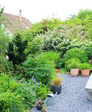 Ribi Gartenbau GmbH Bild 7