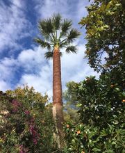 Danielou Elagage image 15