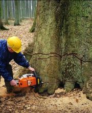 Clabeau Michael image 2