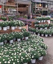 HELLWEG - Die Profi-Baumärkte Essen Bild 10