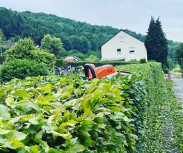 Gartenservice Mark Miess Bild 21