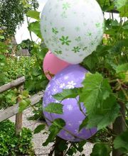 Liebenau Debora gemeinnützige AG Bild 6