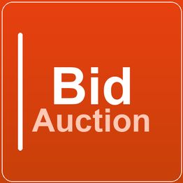BidAuction