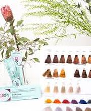 Coiffure Schwab Bild 5