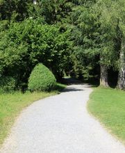 Daniel Lochbrunner Bestattungen & Thanatologie Bild 5