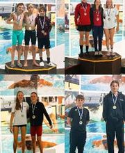 White Sharks Trier e.V. Bild 4