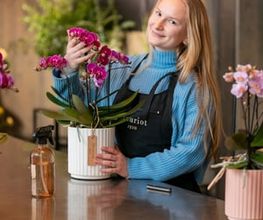 Fleuriot Fleurs, Fleuriste Gare O'Vives Bild 1