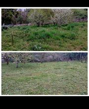 D.L Espaces Verts image 4