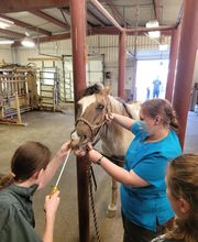 Independence Animal Hospital image 8