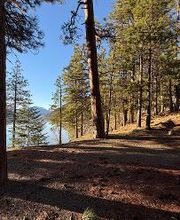 Rimrock Lake Resort image 2